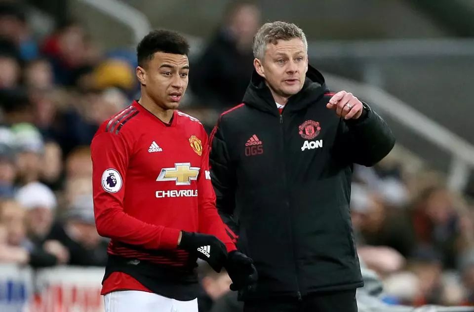 球队良好的 球队良好的